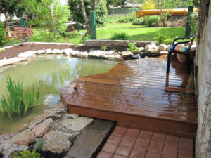 Terrasse und Teich