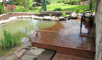 Terrasse und Teich