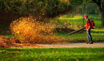 Herbstlaub wird von einem Laubbläser aufgewirbelt und leuchtet im Sonnenlicht